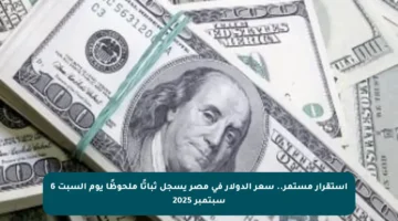 استقرار مستمر.. سعر الدولار في مصر يسجل ثباتًا ملحوظًا يوم السبت 6 سبتمبر 2025